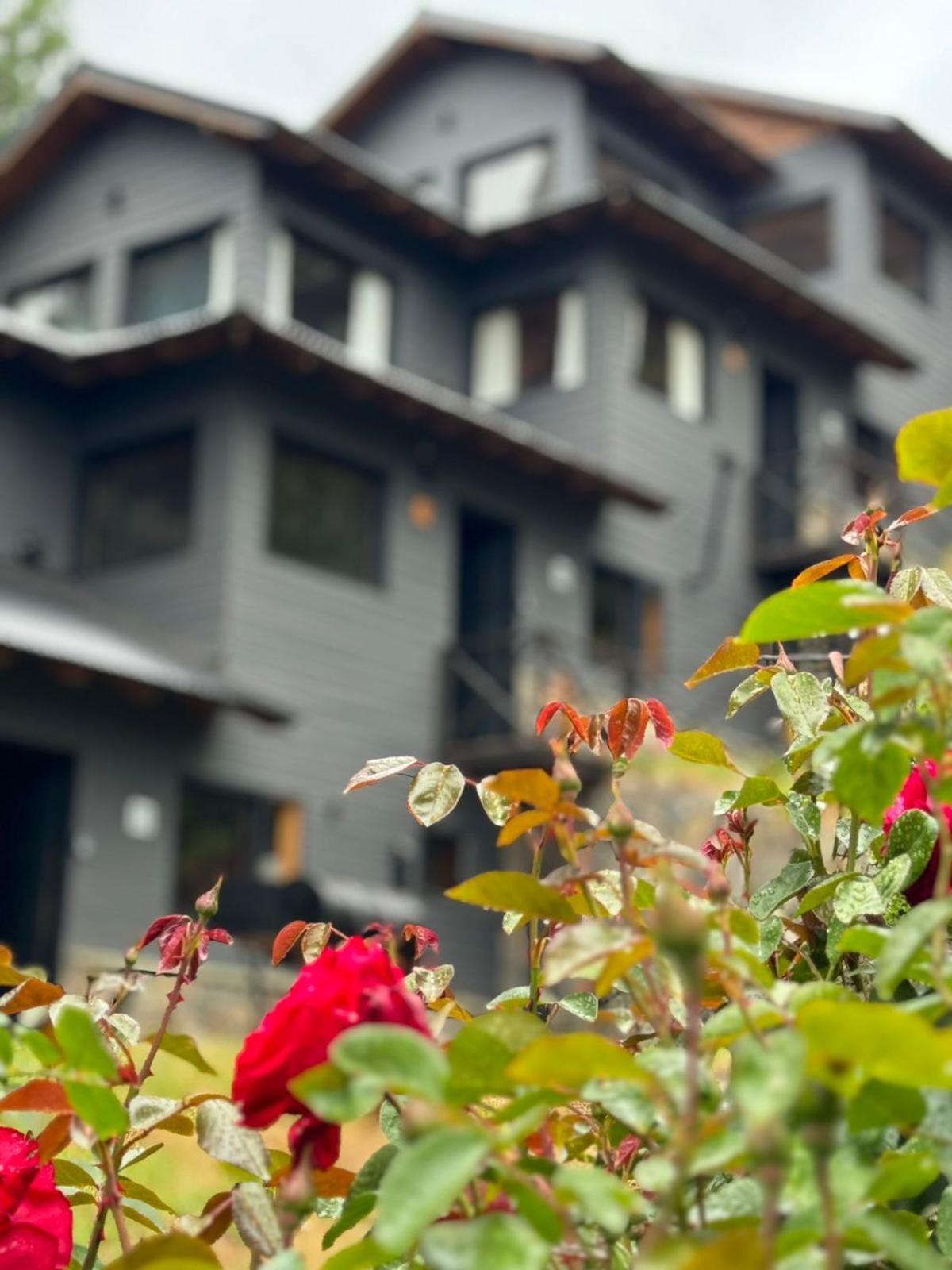 Huilen De Bandurrias Villa San Martín de los Andes Eksteriør bilde