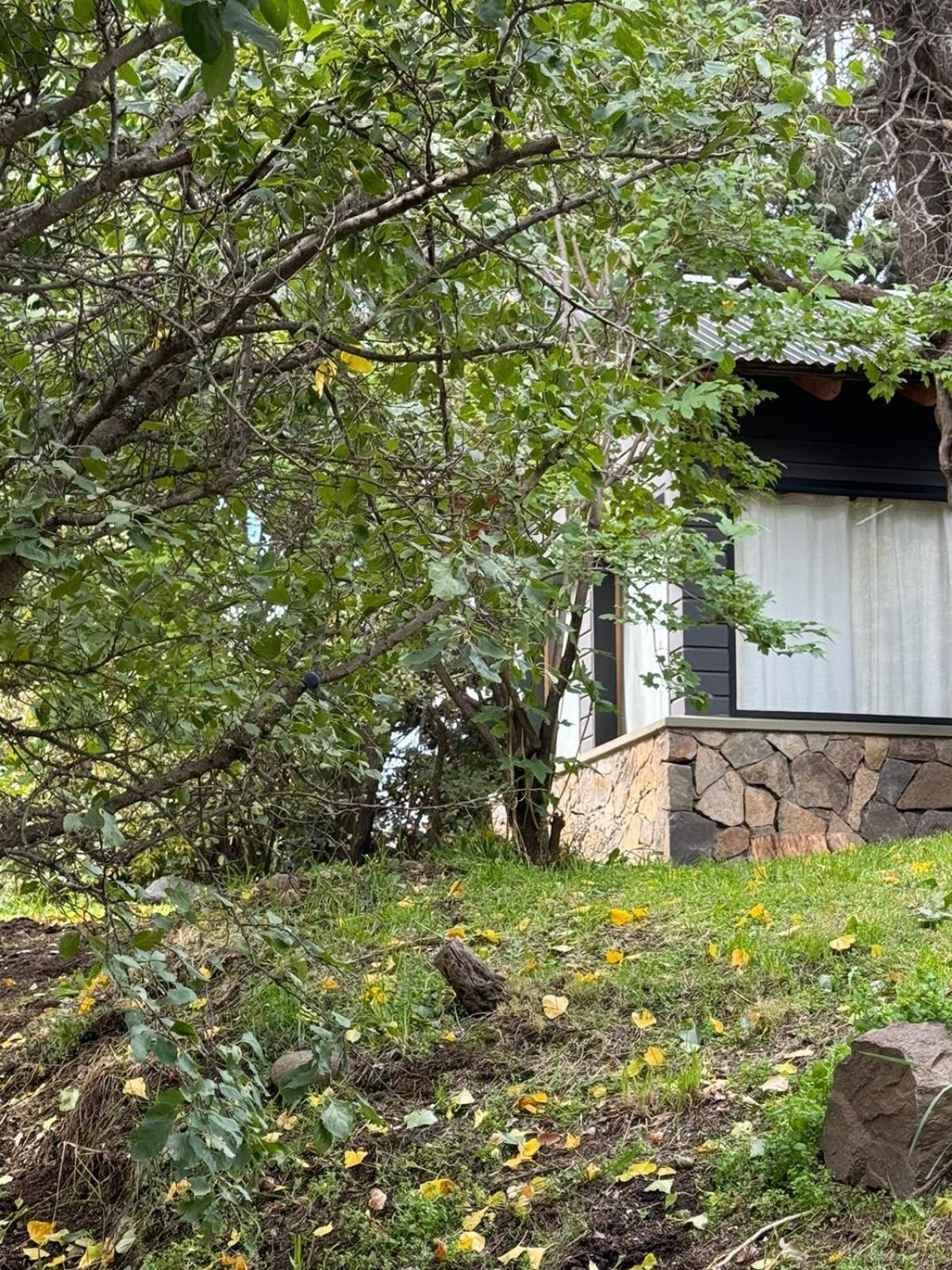 Huilen De Bandurrias Villa San Martín de los Andes Eksteriør bilde